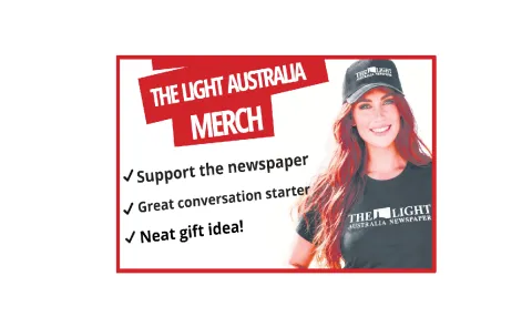 Web Banner Merch2
